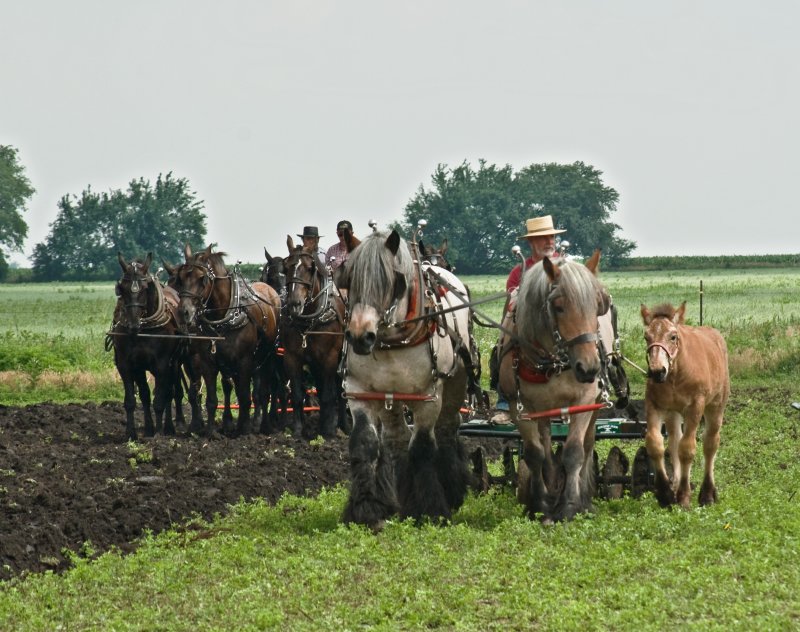 Pulling together!