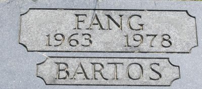 g6/53/625353/3/79139595.72PwKHSZ.jpg