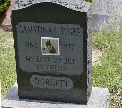 g6/53/625353/3/79139602.yHFbNzDx.jpg