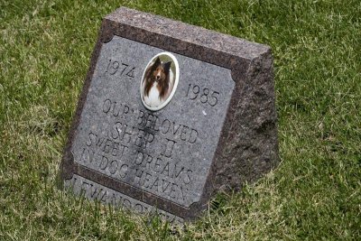 g6/53/625353/3/79139604.z266Vfzw.jpg
