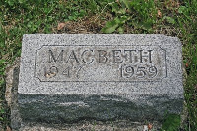 PET CEMETERY