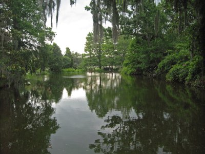 Magnolia Gardens Swamp Boat Tour