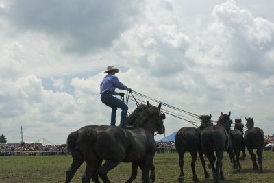 Roman Rider