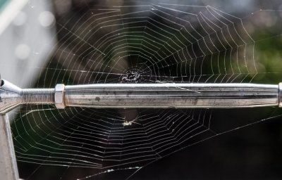 Web Of Deceit
