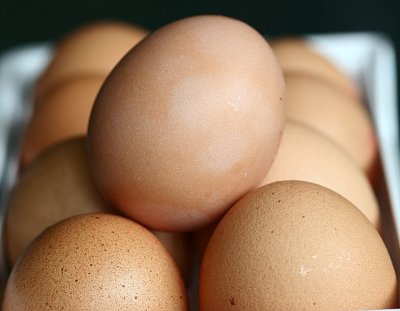 Eggs