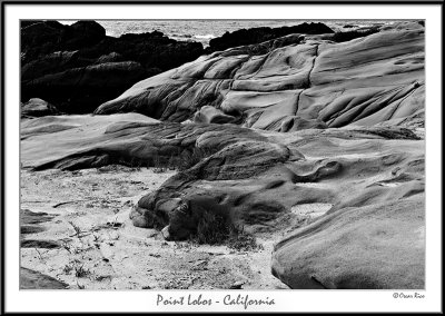 Point Lobos - California.jpg