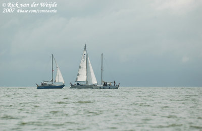 Yachts on the IJsselmeer