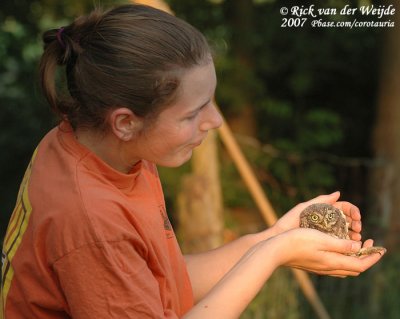 Daughter of farmer holding the owlet