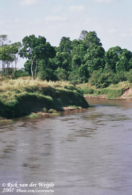 The River Mara