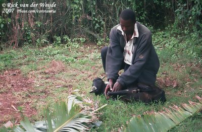 Njama Choma: How to kill a goat in 13 steps