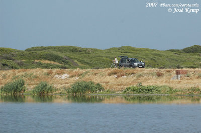 Daan & Rick birding at the sewage ponds