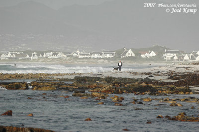 Walking at the rough beach