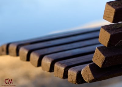 Depth of Field - What a Wonderful Thing