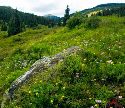 Colorado