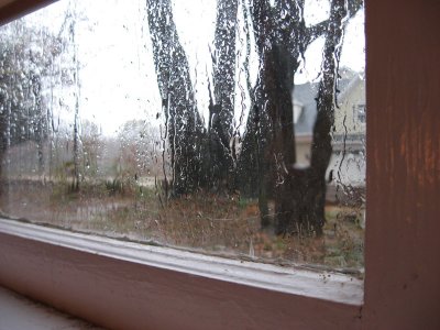 the bedroom window on a rainy day