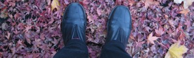 feet in the leaves