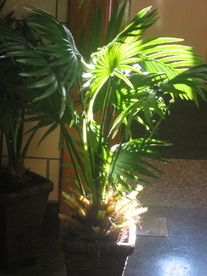 plant light
