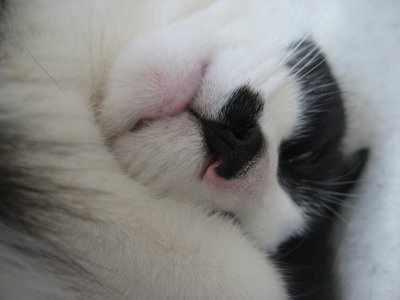 pooped out pussy