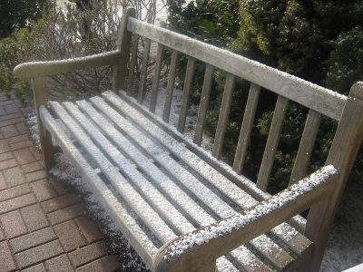 surprise snow on the library bench