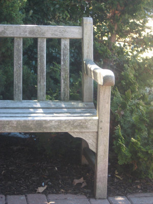 library bench