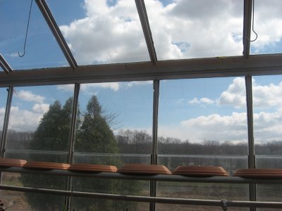 greenhouse window 2