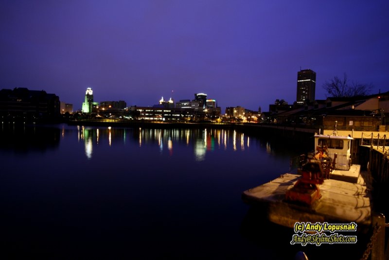 Buffalo at Night