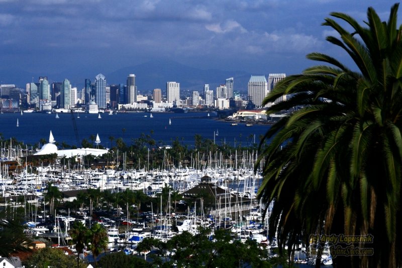 Downtown San Diego, California from Point Loma
