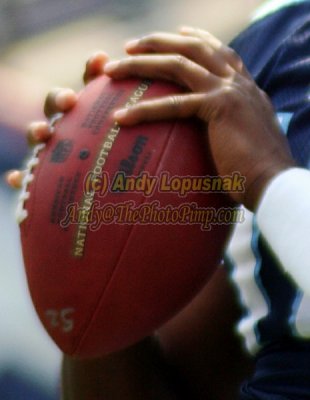 NFL Tennessee Titans QB Vince Young