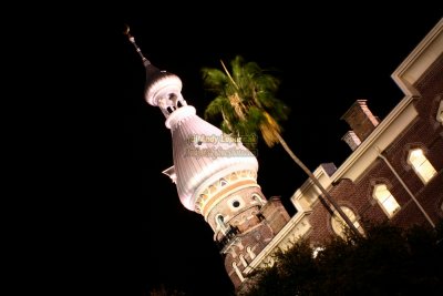 University of Tampa at Night