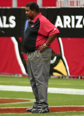 Arizona Cardinals head coach Dennis Green