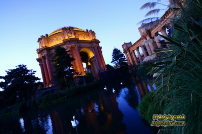 Palace of Fine Arts