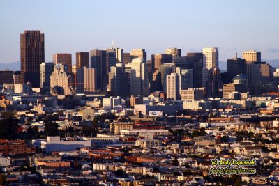 Downtown San Francisco from Burnel Heights