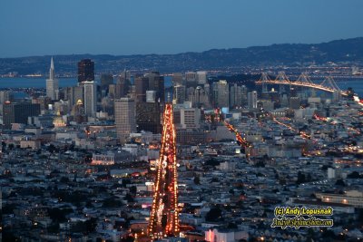 Downtown San Francisco as seen from Twin Peaks