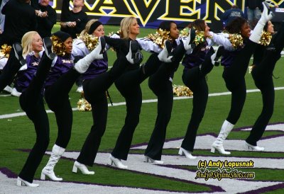 NFL Baltimore Ravens cheerleaders