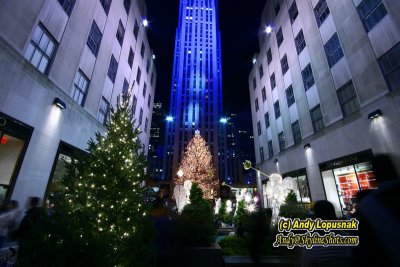New York City Christmas at night