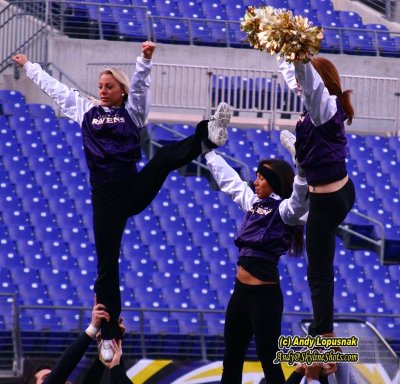 NFL Baltimore Ravens cheerleaders
