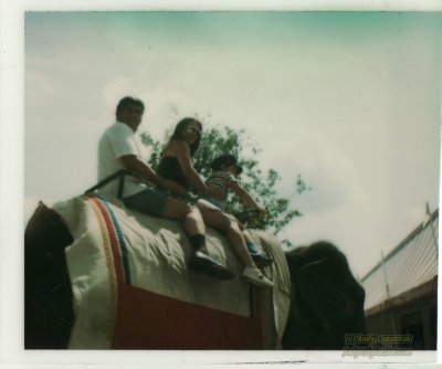 At Circus World