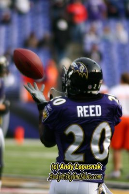 Baltimore Ravens safety Ed Reed