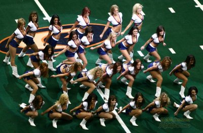 AFL Colorado Crush cheerleaders