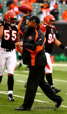 Cincinnati Bengals head coach Marvin Lewis