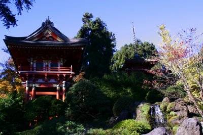 San Francisco's Japanese Tea Garden