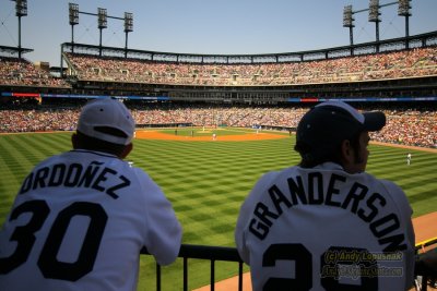 Comerica Park  - Detroit, MI