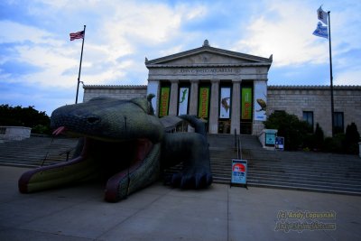 Shedd Aquarium - Chicago, IL