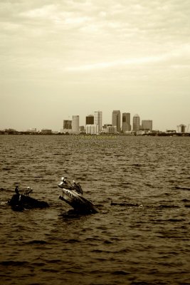 Downtown Tampa from Ballast Point Pier