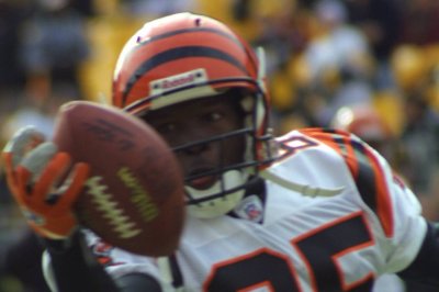 Cincinnati Bengals at Pittsburgh Steelers