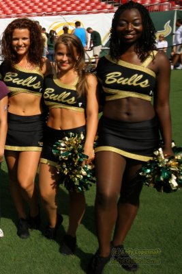 Univ. of South Florida cheerleaders