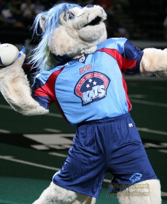 Nashville Kats mascot
