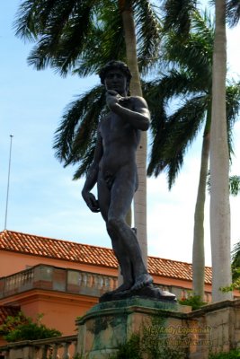 Statue of David - John & Mable Ringling Musuem of Art