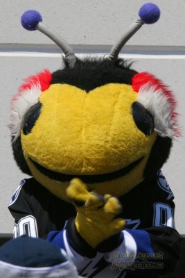 Thunderbug - Tampa Bay Lightning mascot