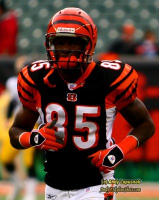 NFL Cincinnati Bengals WR Chad Johnson